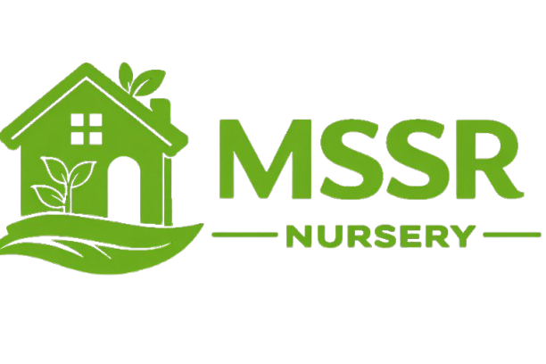Mssr Nursery